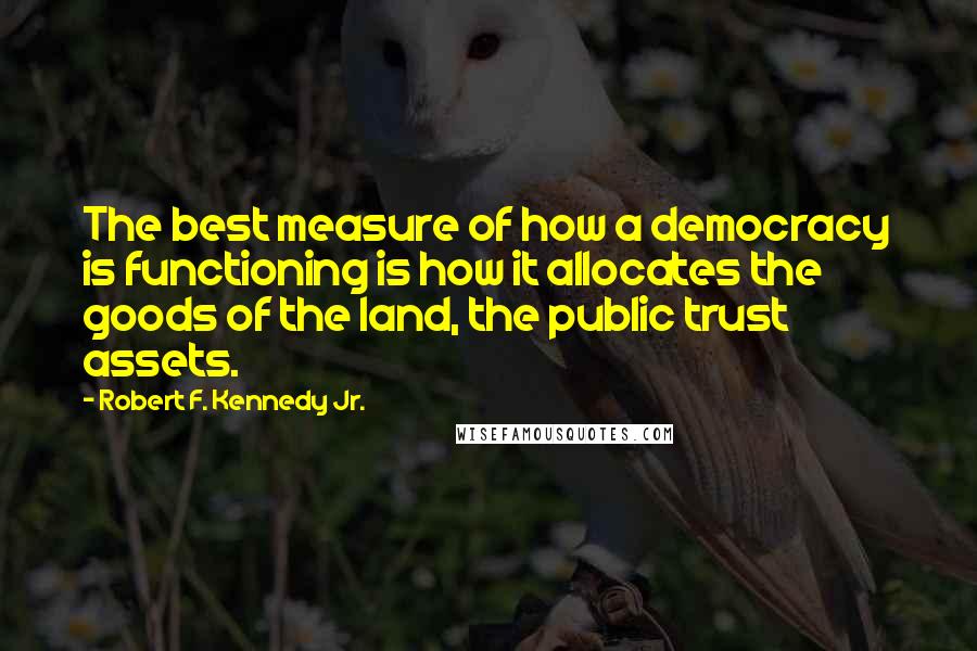 Robert F. Kennedy Jr. Quotes: The best measure of how a democracy is functioning is how it allocates the goods of the land, the public trust assets.