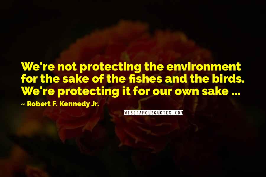 Robert F. Kennedy Jr. Quotes: We're not protecting the environment for the sake of the fishes and the birds. We're protecting it for our own sake ...