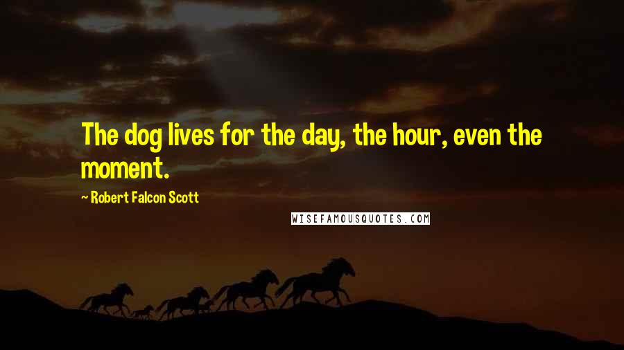 Robert Falcon Scott Quotes: The dog lives for the day, the hour, even the moment.