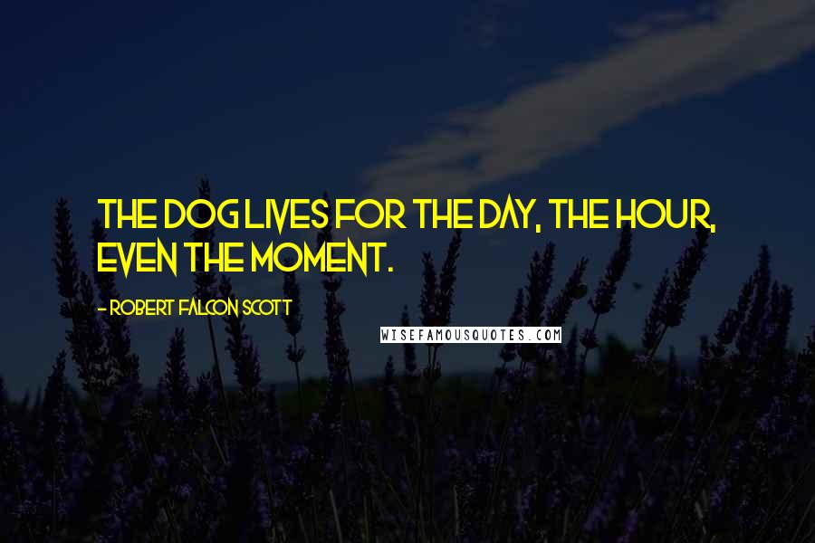 Robert Falcon Scott Quotes: The dog lives for the day, the hour, even the moment.