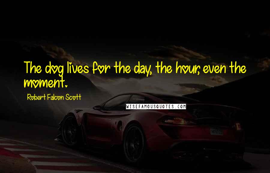 Robert Falcon Scott Quotes: The dog lives for the day, the hour, even the moment.