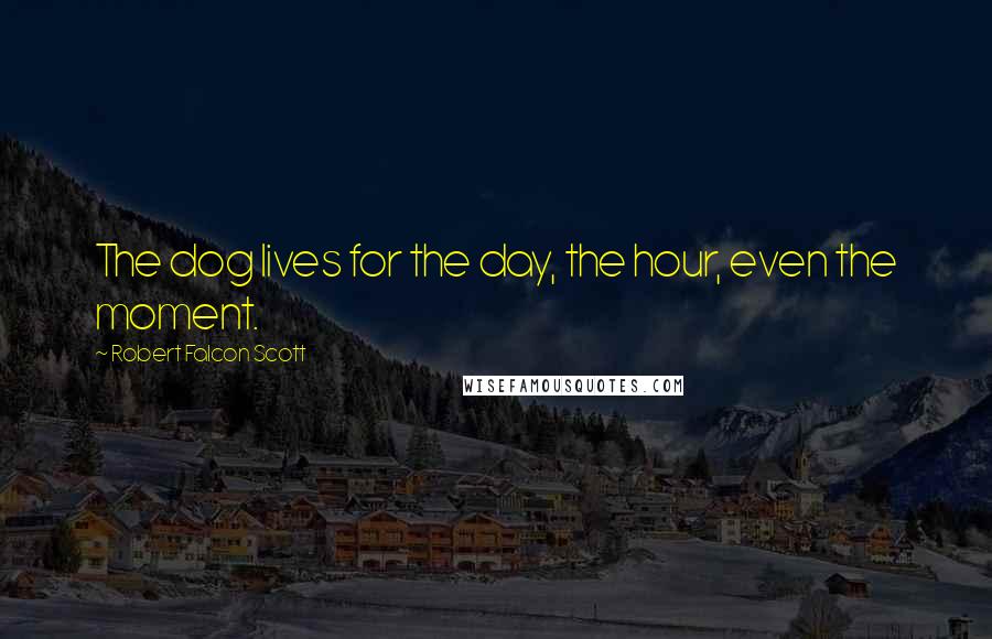 Robert Falcon Scott Quotes: The dog lives for the day, the hour, even the moment.