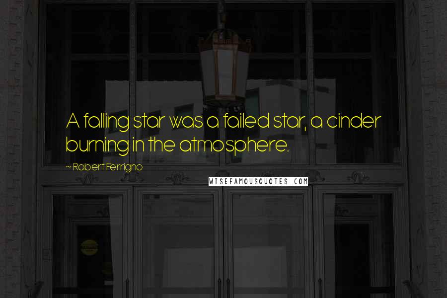 Robert Ferrigno Quotes: A falling star was a failed star, a cinder burning in the atmosphere.