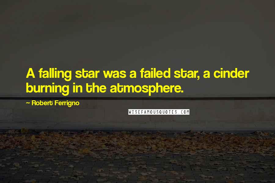 Robert Ferrigno Quotes: A falling star was a failed star, a cinder burning in the atmosphere.