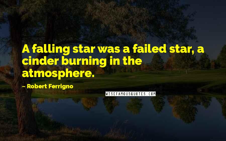 Robert Ferrigno Quotes: A falling star was a failed star, a cinder burning in the atmosphere.