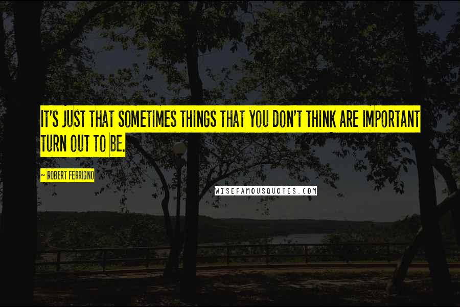 Robert Ferrigno Quotes: It's just that sometimes things that you don't think are important turn out to be.