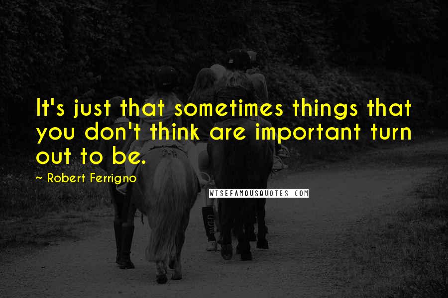 Robert Ferrigno Quotes: It's just that sometimes things that you don't think are important turn out to be.