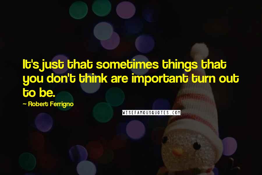 Robert Ferrigno Quotes: It's just that sometimes things that you don't think are important turn out to be.