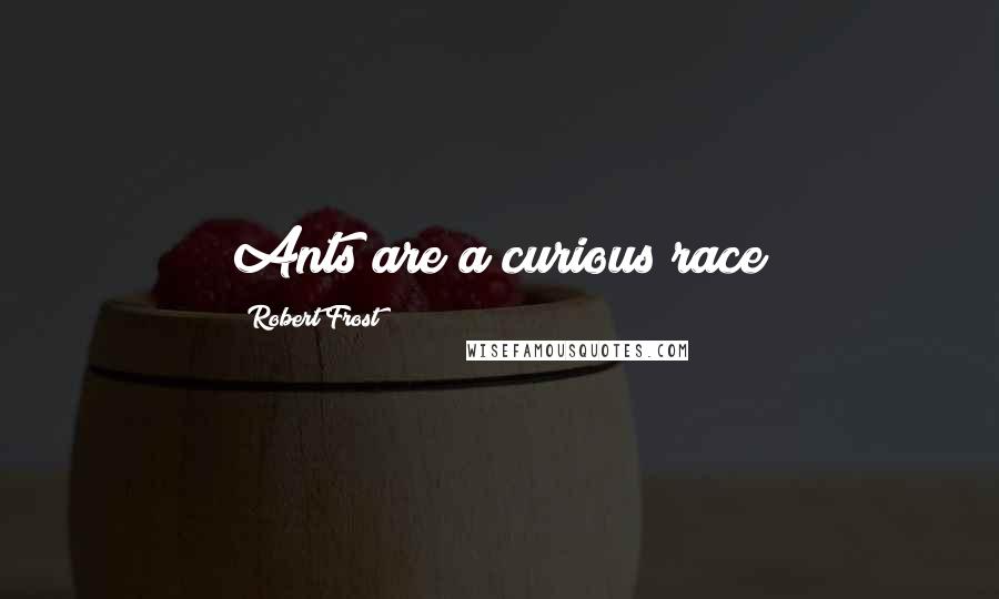 Robert Frost Quotes: Ants are a curious race