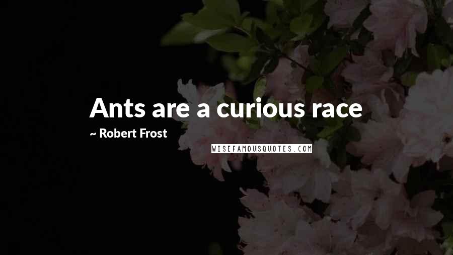 Robert Frost Quotes: Ants are a curious race