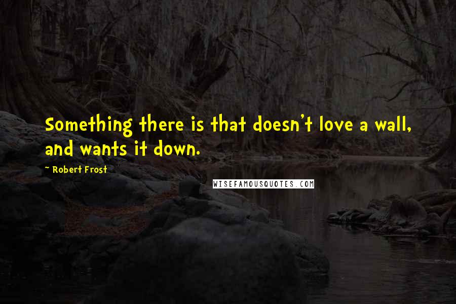 Robert Frost Quotes: Something there is that doesn't love a wall, and wants it down.