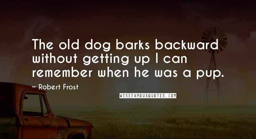 Robert Frost Quotes: The old dog barks backward without getting up I can remember when he was a pup.