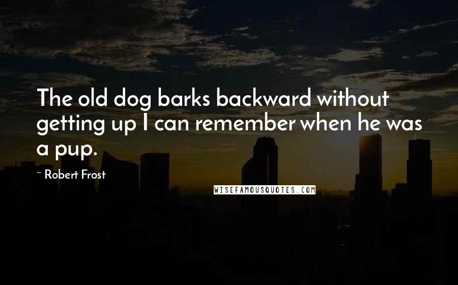 Robert Frost Quotes: The old dog barks backward without getting up I can remember when he was a pup.