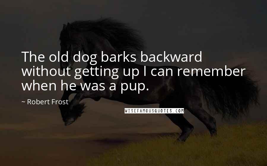 Robert Frost Quotes: The old dog barks backward without getting up I can remember when he was a pup.