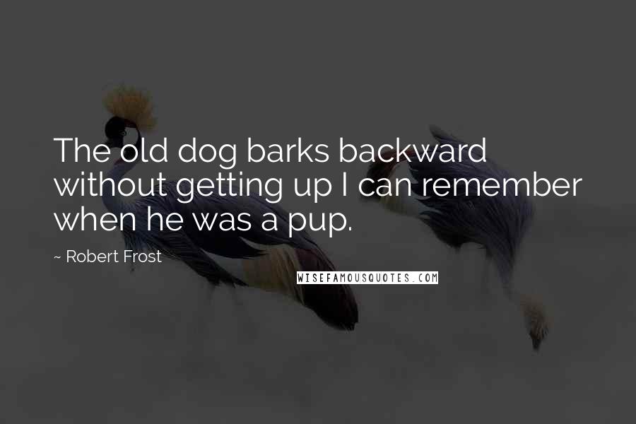 Robert Frost Quotes: The old dog barks backward without getting up I can remember when he was a pup.