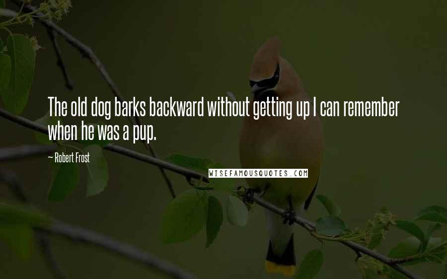 Robert Frost Quotes: The old dog barks backward without getting up I can remember when he was a pup.