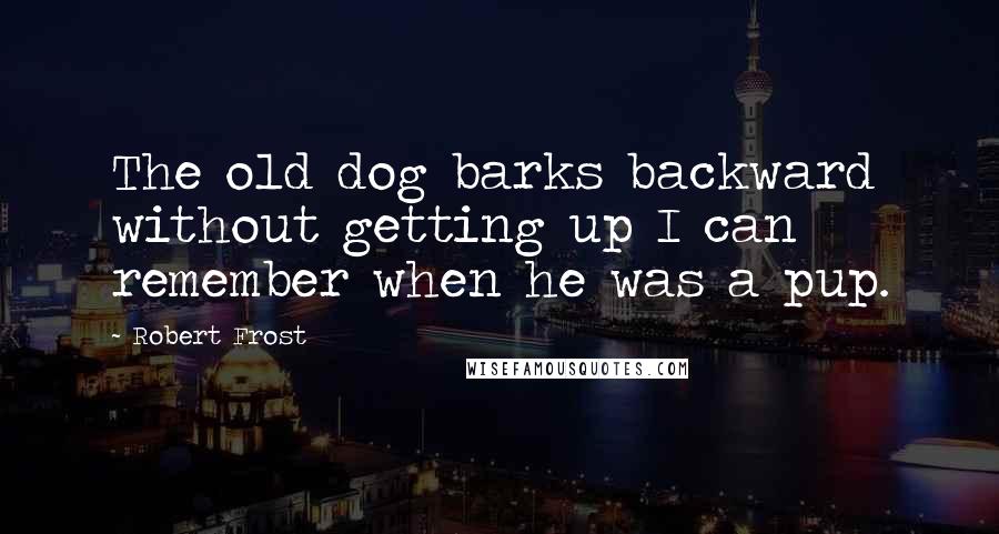Robert Frost Quotes: The old dog barks backward without getting up I can remember when he was a pup.