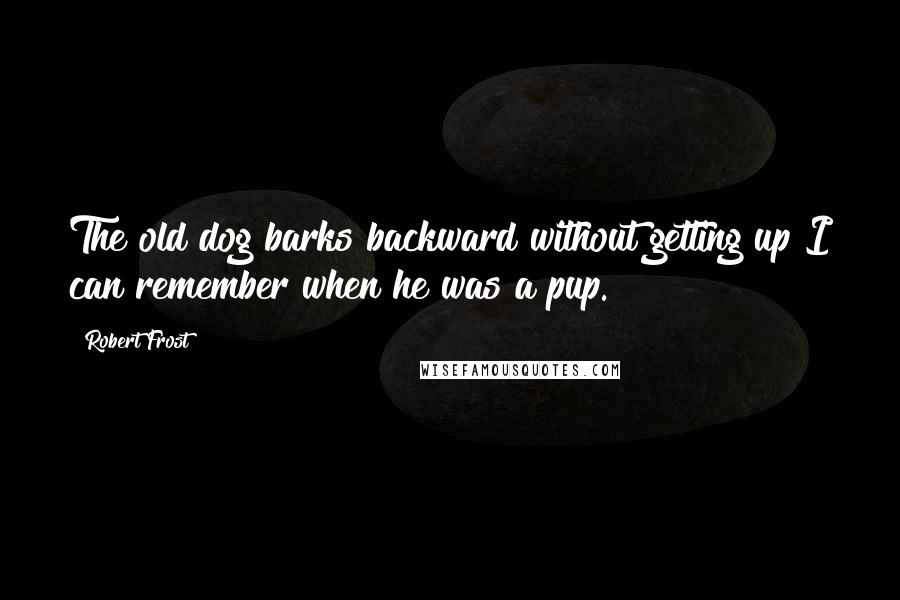 Robert Frost Quotes: The old dog barks backward without getting up I can remember when he was a pup.