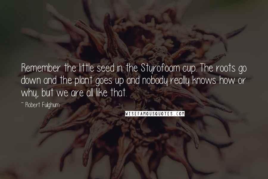 Robert Fulghum Quotes: Remember the little seed in the Styrofoam cup. The roots go down and the plant goes up and nobody really knows how or why, but we are all like that.