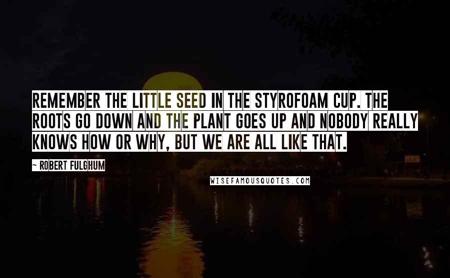 Robert Fulghum Quotes: Remember the little seed in the Styrofoam cup. The roots go down and the plant goes up and nobody really knows how or why, but we are all like that.