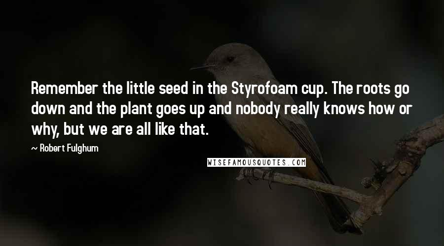 Robert Fulghum Quotes: Remember the little seed in the Styrofoam cup. The roots go down and the plant goes up and nobody really knows how or why, but we are all like that.