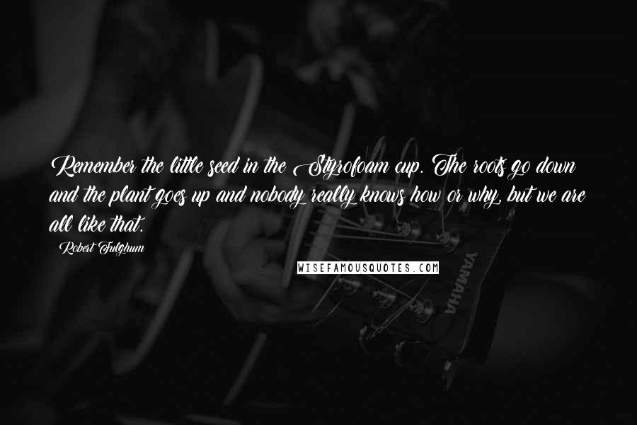 Robert Fulghum Quotes: Remember the little seed in the Styrofoam cup. The roots go down and the plant goes up and nobody really knows how or why, but we are all like that.