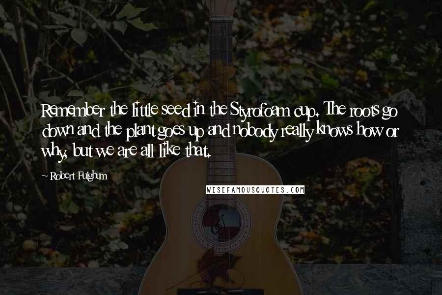 Robert Fulghum Quotes: Remember the little seed in the Styrofoam cup. The roots go down and the plant goes up and nobody really knows how or why, but we are all like that.