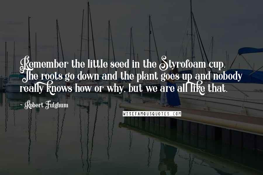 Robert Fulghum Quotes: Remember the little seed in the Styrofoam cup. The roots go down and the plant goes up and nobody really knows how or why, but we are all like that.