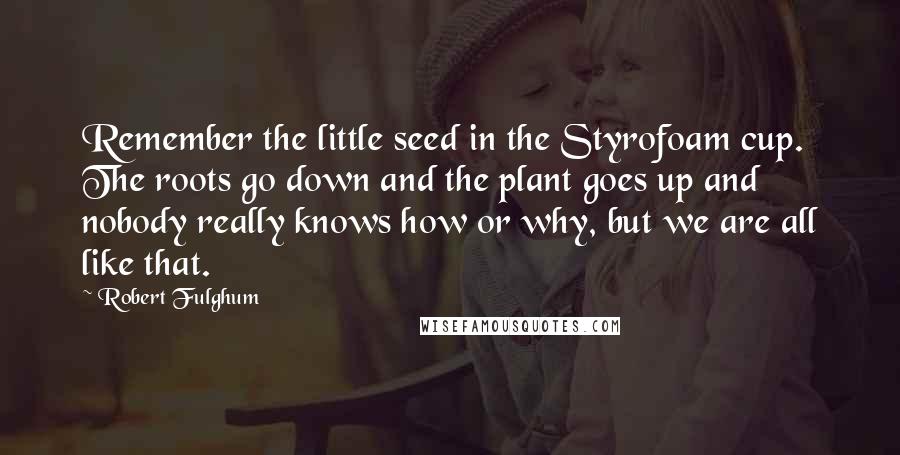 Robert Fulghum Quotes: Remember the little seed in the Styrofoam cup. The roots go down and the plant goes up and nobody really knows how or why, but we are all like that.