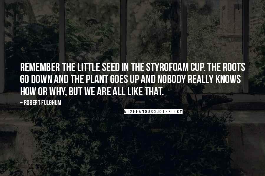 Robert Fulghum Quotes: Remember the little seed in the Styrofoam cup. The roots go down and the plant goes up and nobody really knows how or why, but we are all like that.