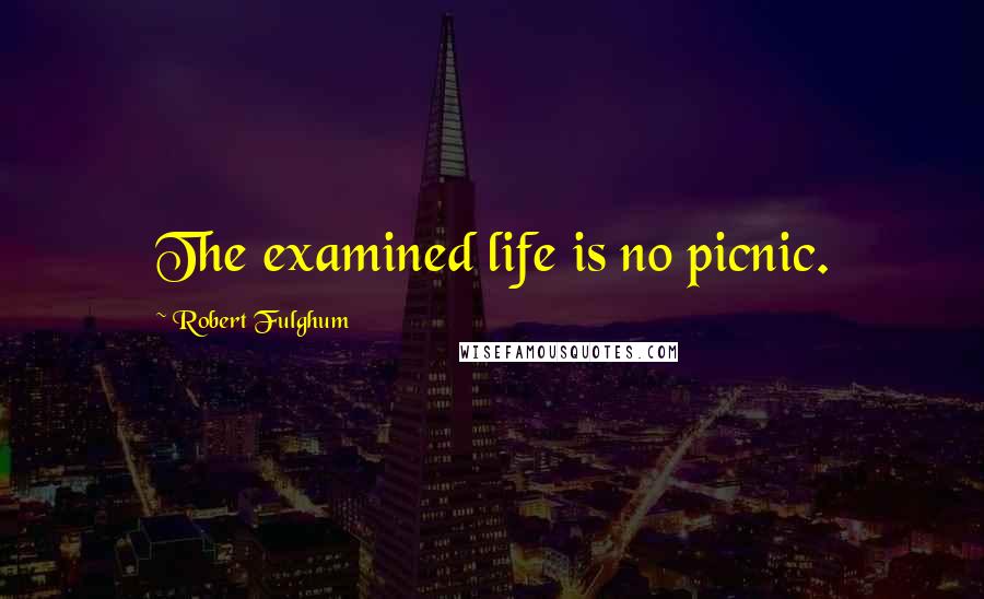 Robert Fulghum Quotes: The examined life is no picnic.