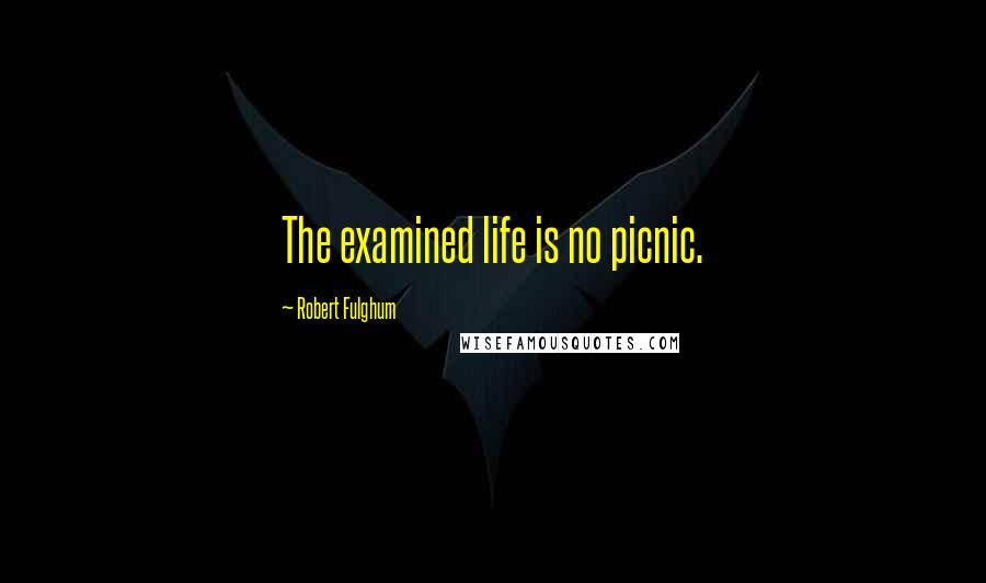 Robert Fulghum Quotes: The examined life is no picnic.