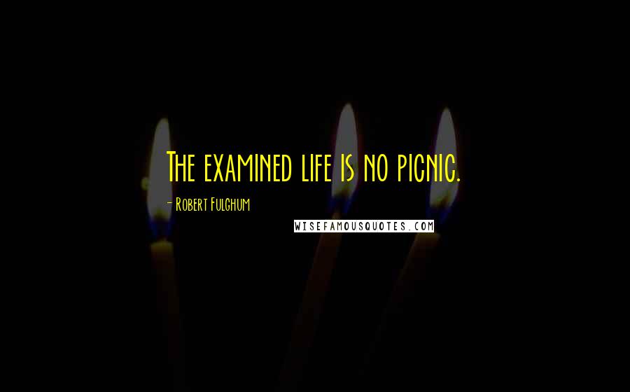 Robert Fulghum Quotes: The examined life is no picnic.