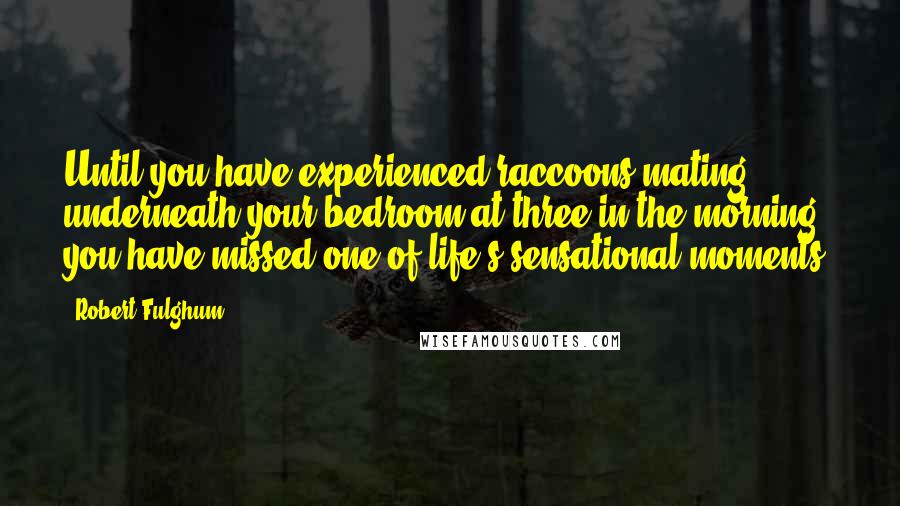 Robert Fulghum Quotes: Until you have experienced raccoons mating underneath your bedroom at three in the morning, you have missed one of life's sensational moments.