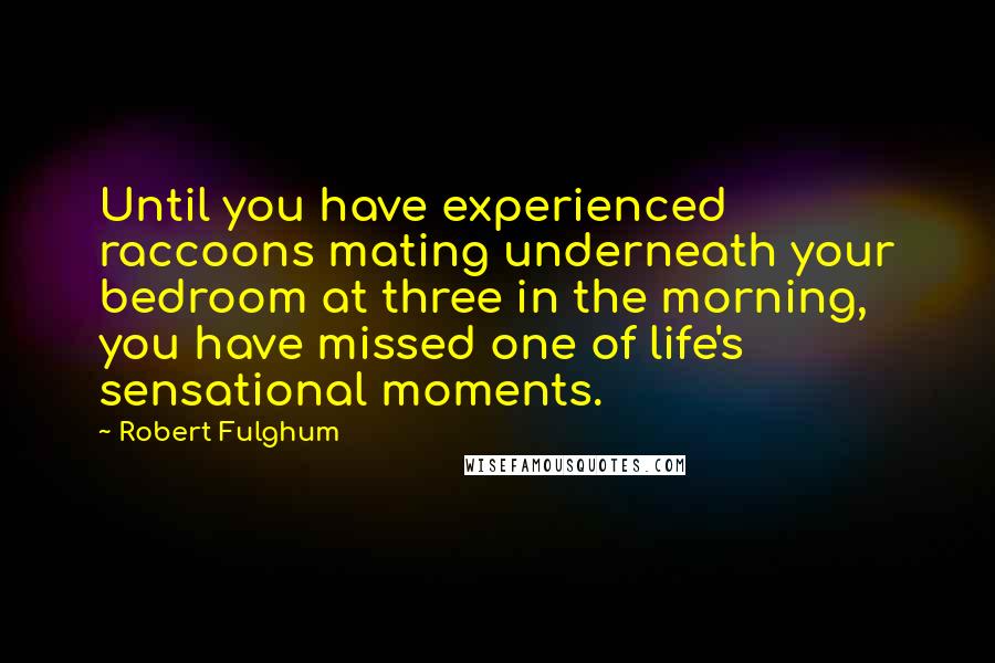 Robert Fulghum Quotes: Until you have experienced raccoons mating underneath your bedroom at three in the morning, you have missed one of life's sensational moments.