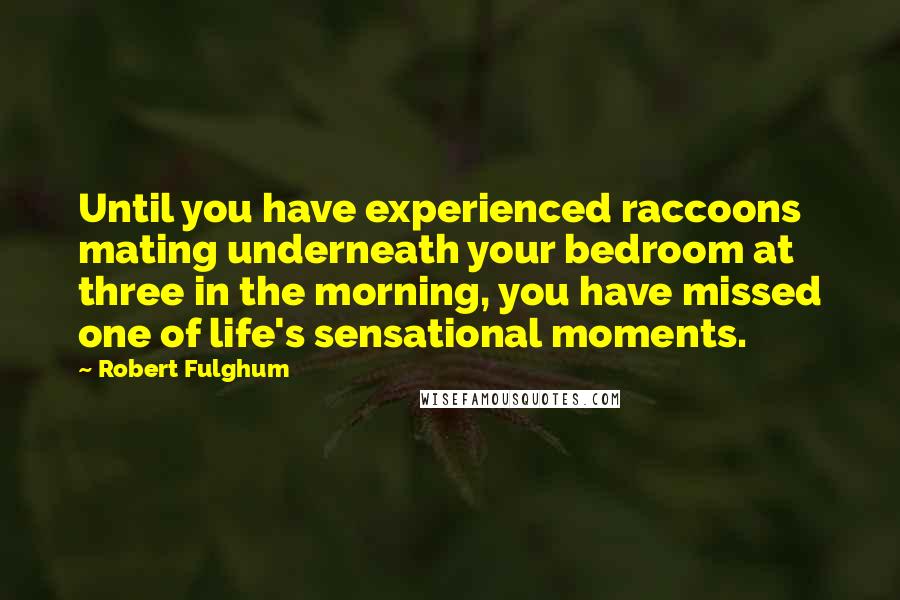 Robert Fulghum Quotes: Until you have experienced raccoons mating underneath your bedroom at three in the morning, you have missed one of life's sensational moments.