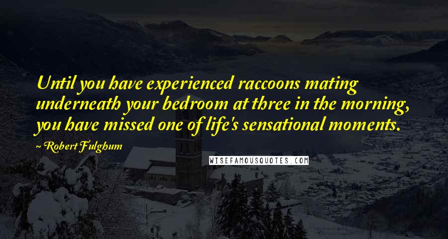 Robert Fulghum Quotes: Until you have experienced raccoons mating underneath your bedroom at three in the morning, you have missed one of life's sensational moments.