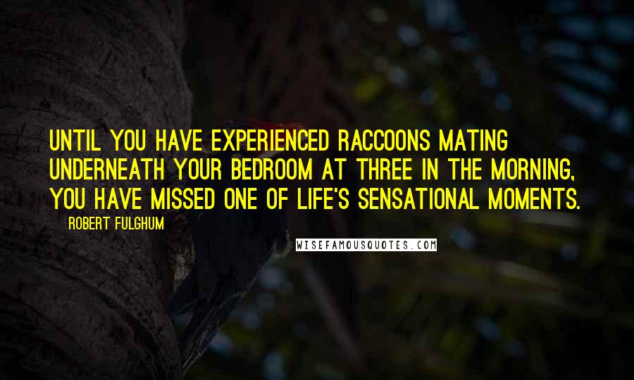 Robert Fulghum Quotes: Until you have experienced raccoons mating underneath your bedroom at three in the morning, you have missed one of life's sensational moments.