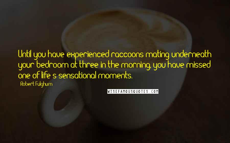 Robert Fulghum Quotes: Until you have experienced raccoons mating underneath your bedroom at three in the morning, you have missed one of life's sensational moments.