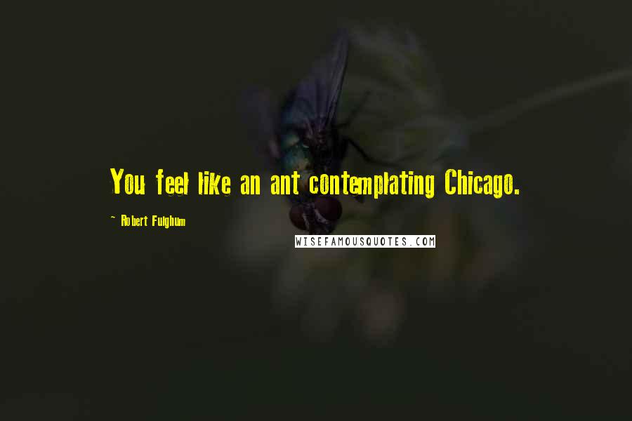 Robert Fulghum Quotes: You feel like an ant contemplating Chicago.