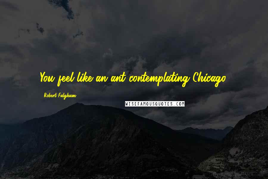 Robert Fulghum Quotes: You feel like an ant contemplating Chicago.