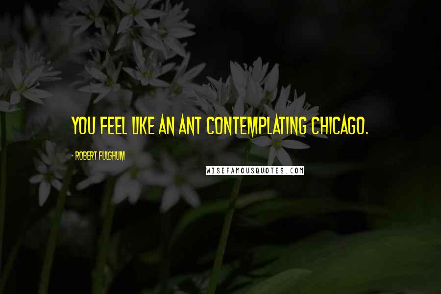 Robert Fulghum Quotes: You feel like an ant contemplating Chicago.