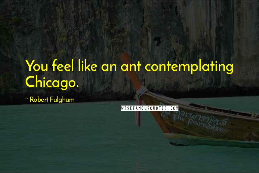 Robert Fulghum Quotes: You feel like an ant contemplating Chicago.