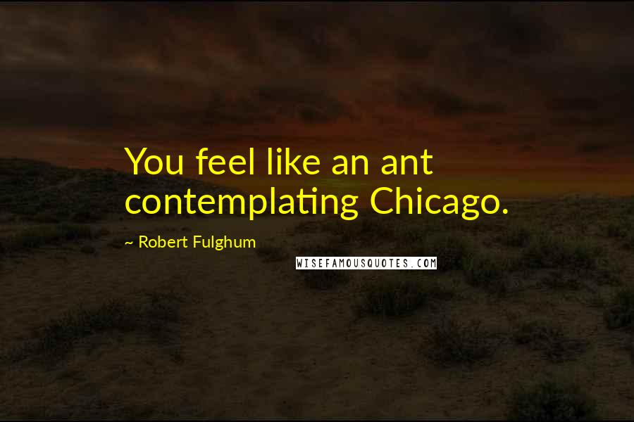 Robert Fulghum Quotes: You feel like an ant contemplating Chicago.