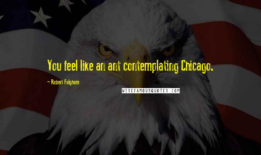 Robert Fulghum Quotes: You feel like an ant contemplating Chicago.