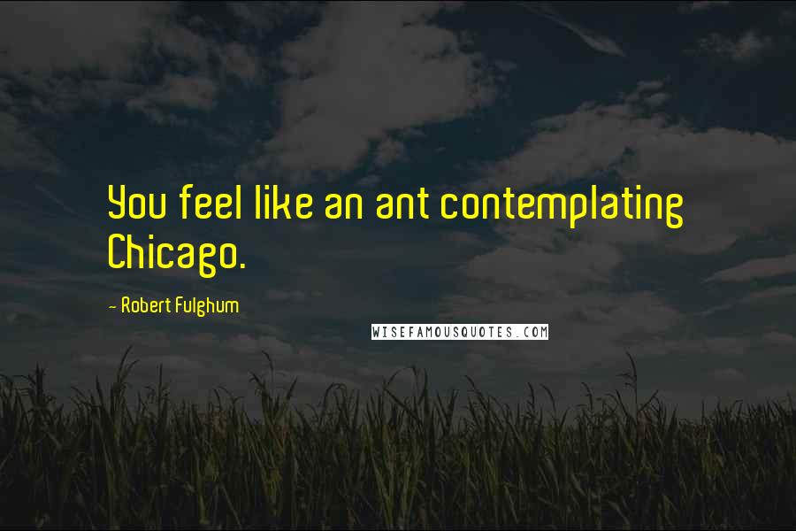 Robert Fulghum Quotes: You feel like an ant contemplating Chicago.