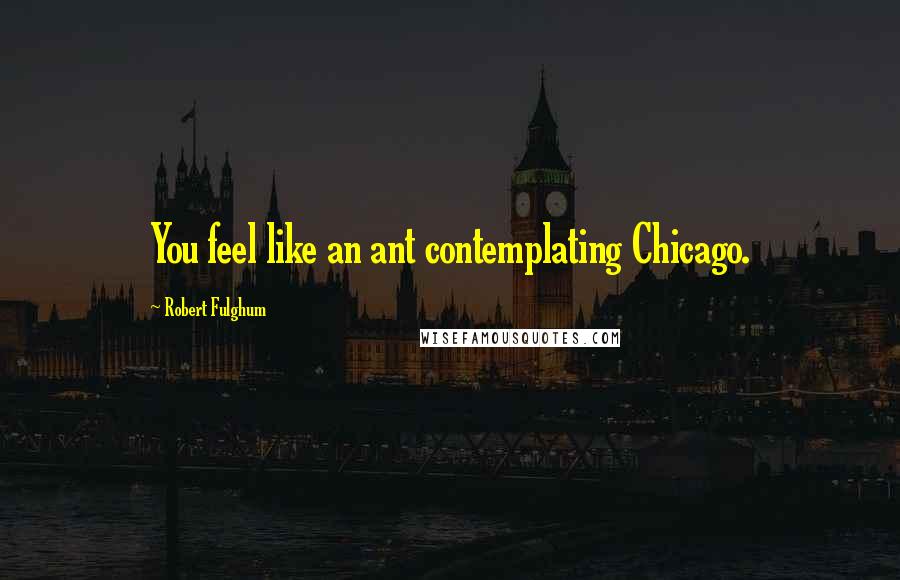 Robert Fulghum Quotes: You feel like an ant contemplating Chicago.