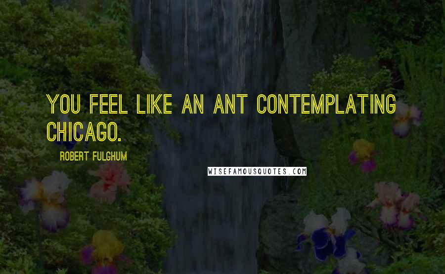 Robert Fulghum Quotes: You feel like an ant contemplating Chicago.