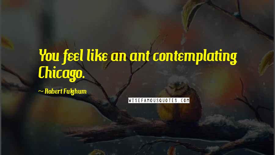 Robert Fulghum Quotes: You feel like an ant contemplating Chicago.