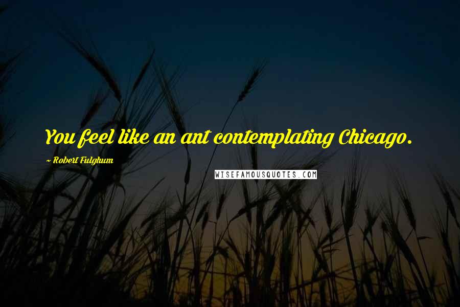 Robert Fulghum Quotes: You feel like an ant contemplating Chicago.